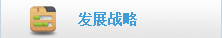 发展战略
