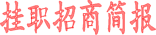 挂职招商简报