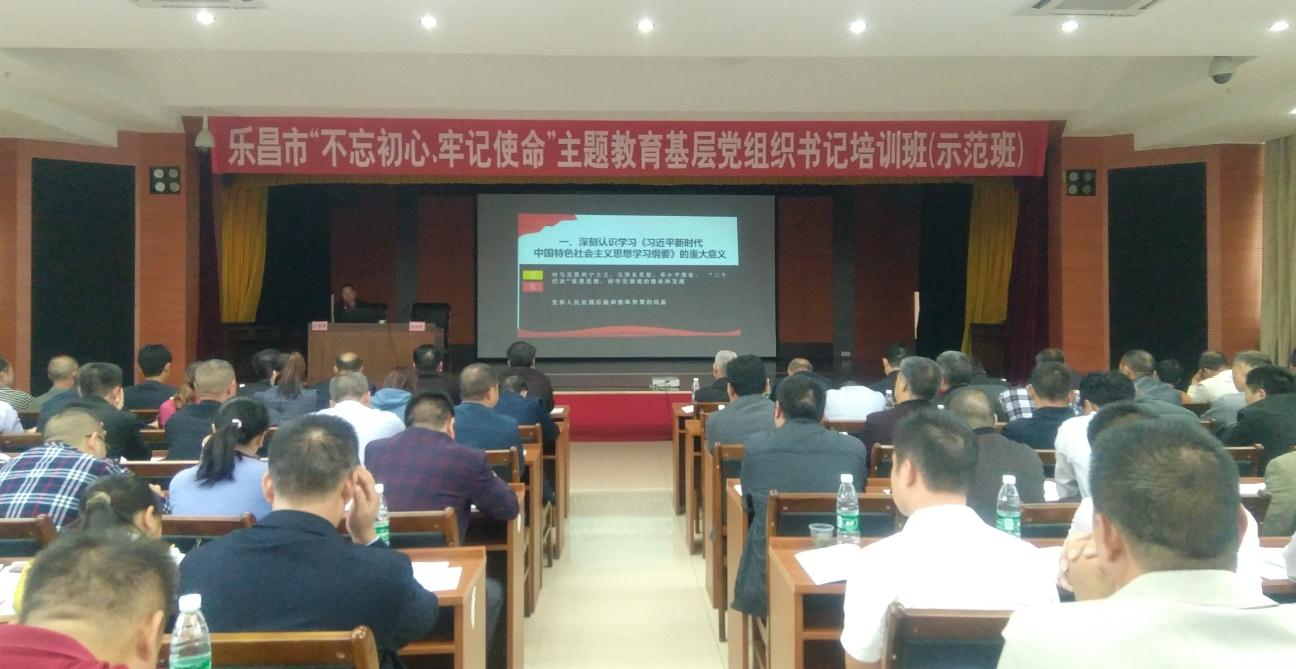 主题教育期间基层党组织书记轮训  廖晓奇摄