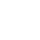 smy_zfxxgkIcon01