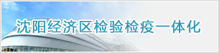 smy_ztPic02